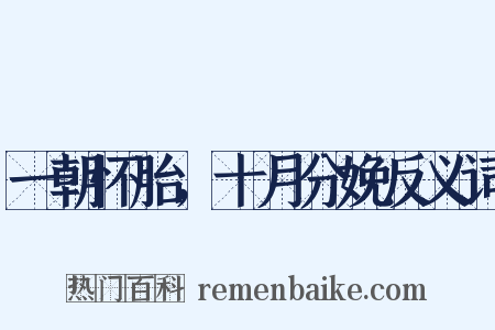 一朝怀胎，十月分娩反义词是什么意思的图片
